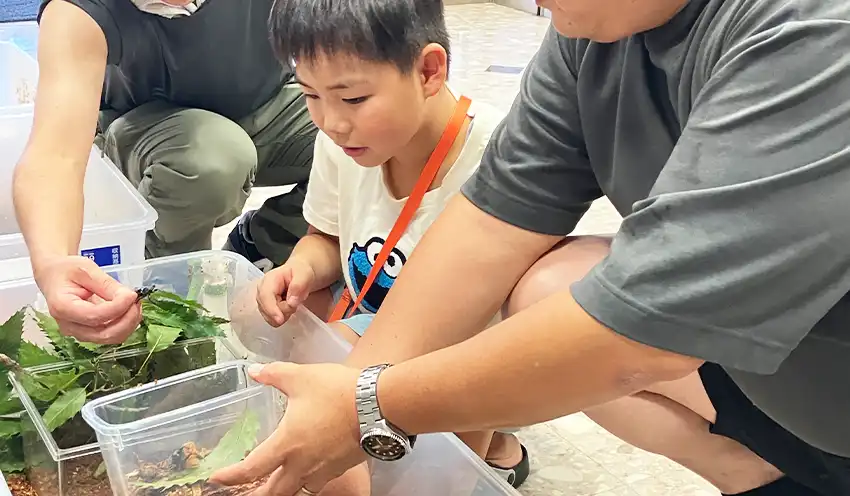 クワガタに興味津々の少年(7月28日、のと共栄信金本店)