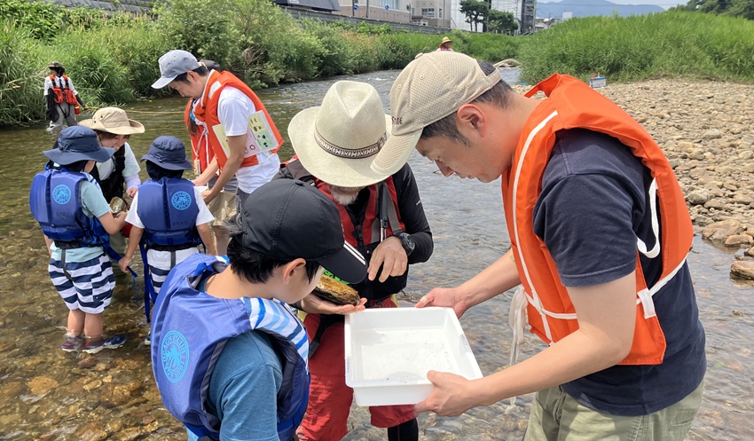水生生物を確認する参加者（7月19日、中津川、岩手銀提供）