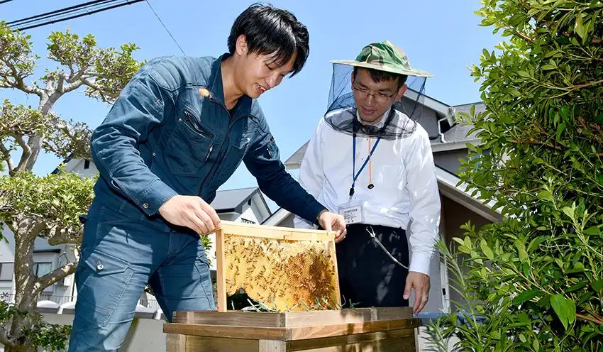 西岡養蜂場の西岡代表からミツバチの巣箱をみせてもらう西中国信金の渡邉代理（8月1日、下関市内）