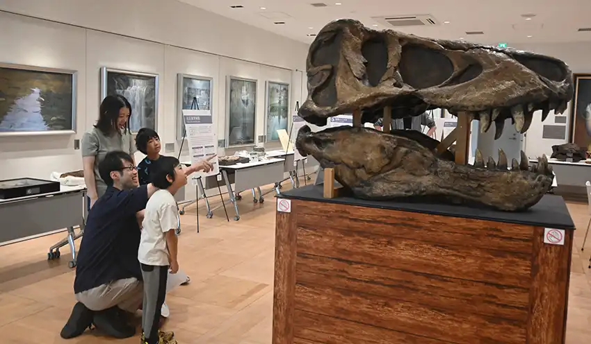 ティラノサウルスの頭骨のレプリカを鑑賞する親子（8月2日、あぶくま信金本店）