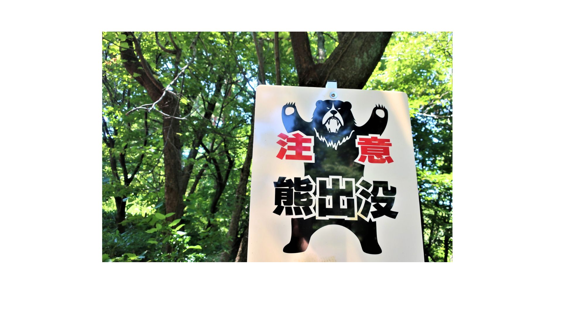リスク感覚奪う「バカの壁」