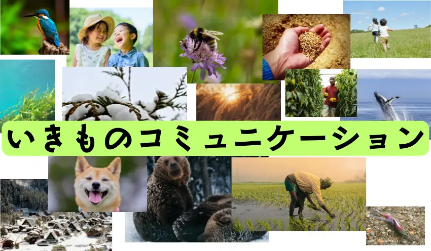 ハイラブル様_A案